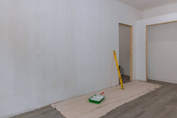 Best Attic Mold Removal  in Kulpmont, PA