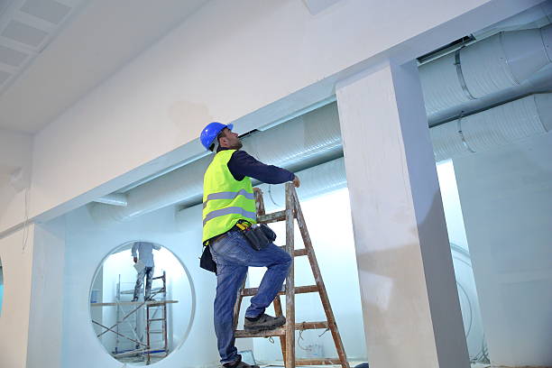 Trusted Kulpmont, PA Mold Removal Experts